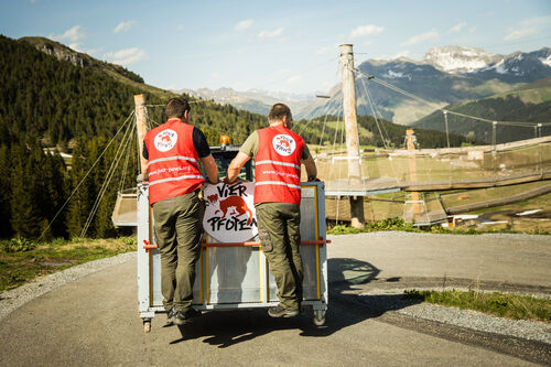In der Transportbox ins Arosa Bärenland | © Stiftung Arosa Bären / VIER PFOTEN