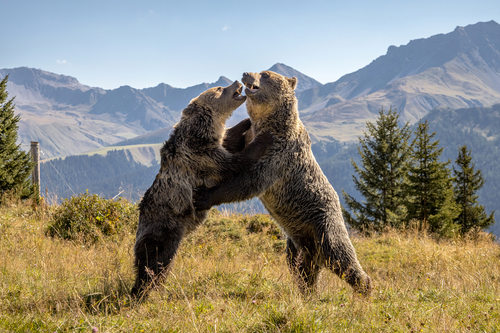 Jamila und Sam im Arosa Bärenland | © Nina Homberger