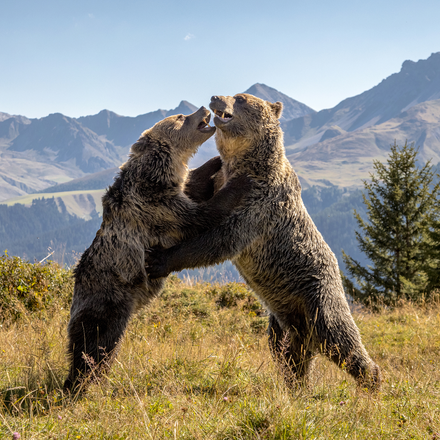 Jamila und Sam im Arosa Bärenland | © Nina Homberger