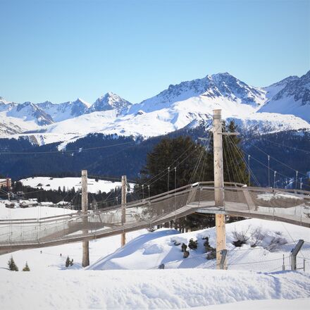 Blick ins Arosa Bärenland