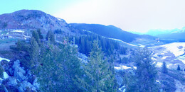 Bärenland