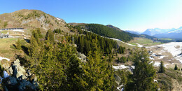 Bear Sanctuary