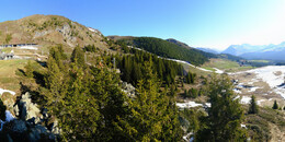 Bear Sanctuary