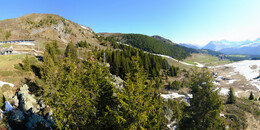 Bear Sanctuary