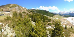 Bear Sanctuary