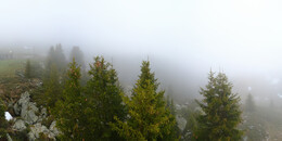 Bärenland