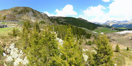 Bear Sanctuary