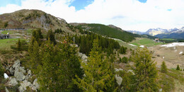 Bear Sanctuary