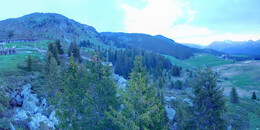 Bear Sanctuary