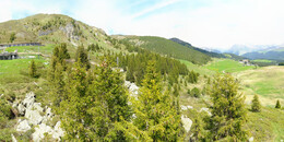Bear Sanctuary