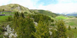 Bear Sanctuary