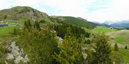 Bear Sanctuary