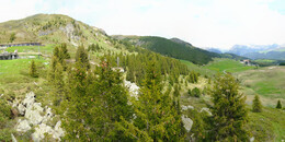 Bear Sanctuary