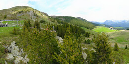 Bear Sanctuary