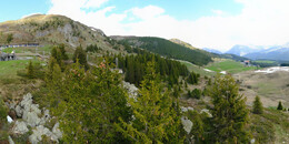 Bear Sanctuary