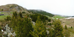 Bärenland
