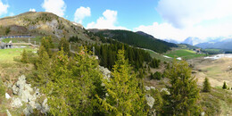 Bear Sanctuary
