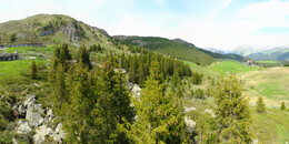 Bear Sanctuary
