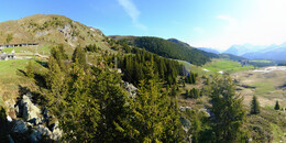 Bear Sanctuary