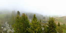Bear Sanctuary