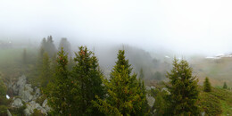 Bärenland
