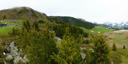 Bear Sanctuary