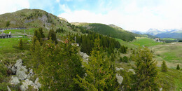 Bear Sanctuary