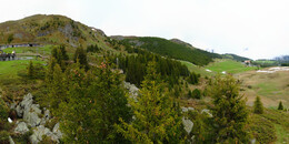 Bear Sanctuary
