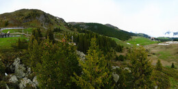 Bear Sanctuary