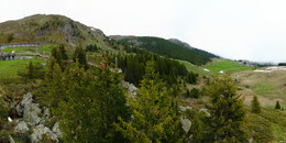 Bear Sanctuary