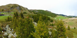 Bear Sanctuary
