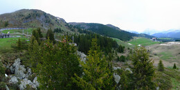 Bear Sanctuary
