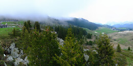 Bear Sanctuary