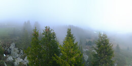 Bärenland