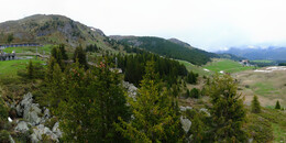 Bear Sanctuary