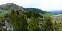 Bear Sanctuary