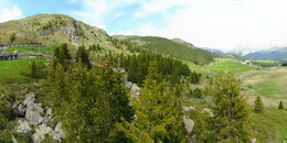Bear Sanctuary