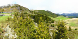 Bear Sanctuary