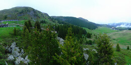 Bear Sanctuary
