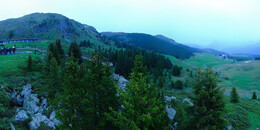 Bear Sanctuary
