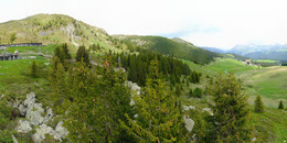 Bear Sanctuary