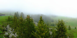 Bear Sanctuary