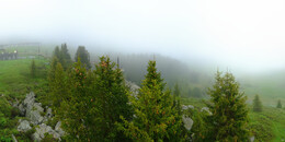 Bärenland