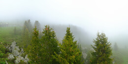 Bärenland