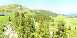 Bear Sanctuary