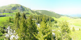 Bear Sanctuary