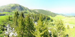 Bear Sanctuary