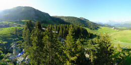 Bear Sanctuary