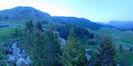 Bear Sanctuary