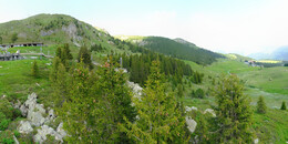 Bear Sanctuary